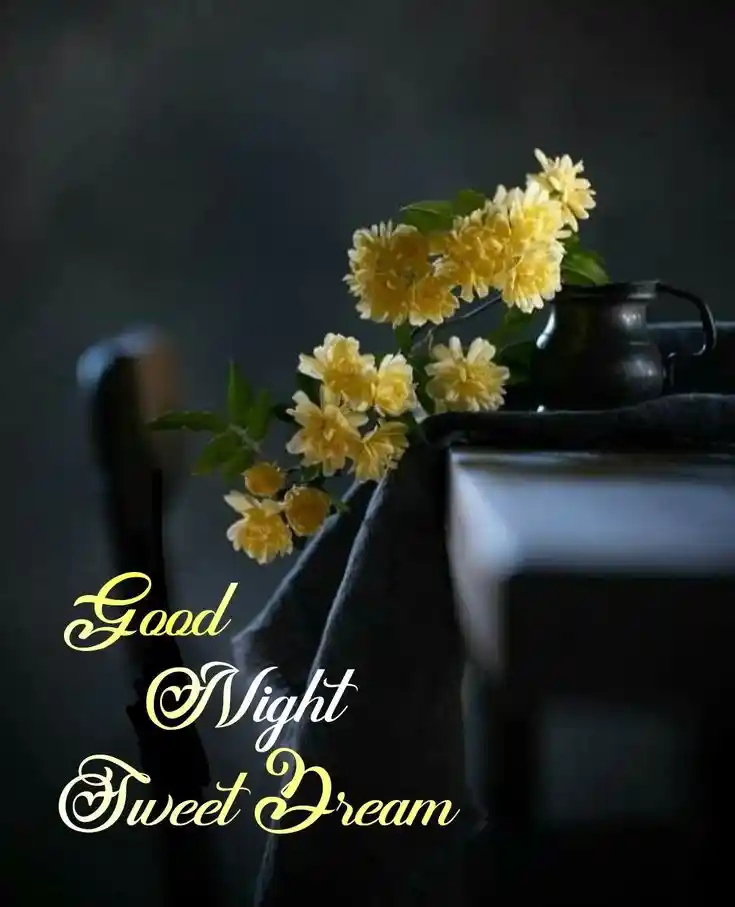 night nature images