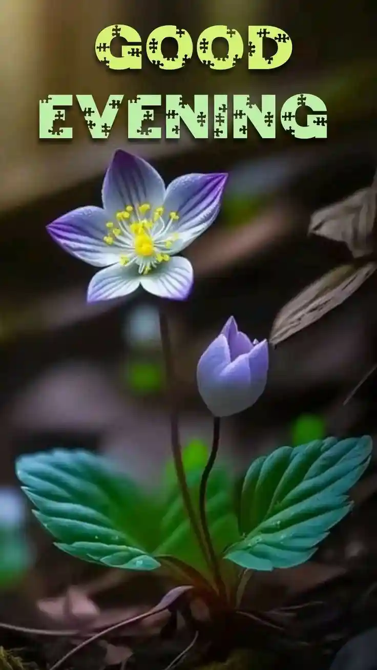 double meaning images for whatsapp