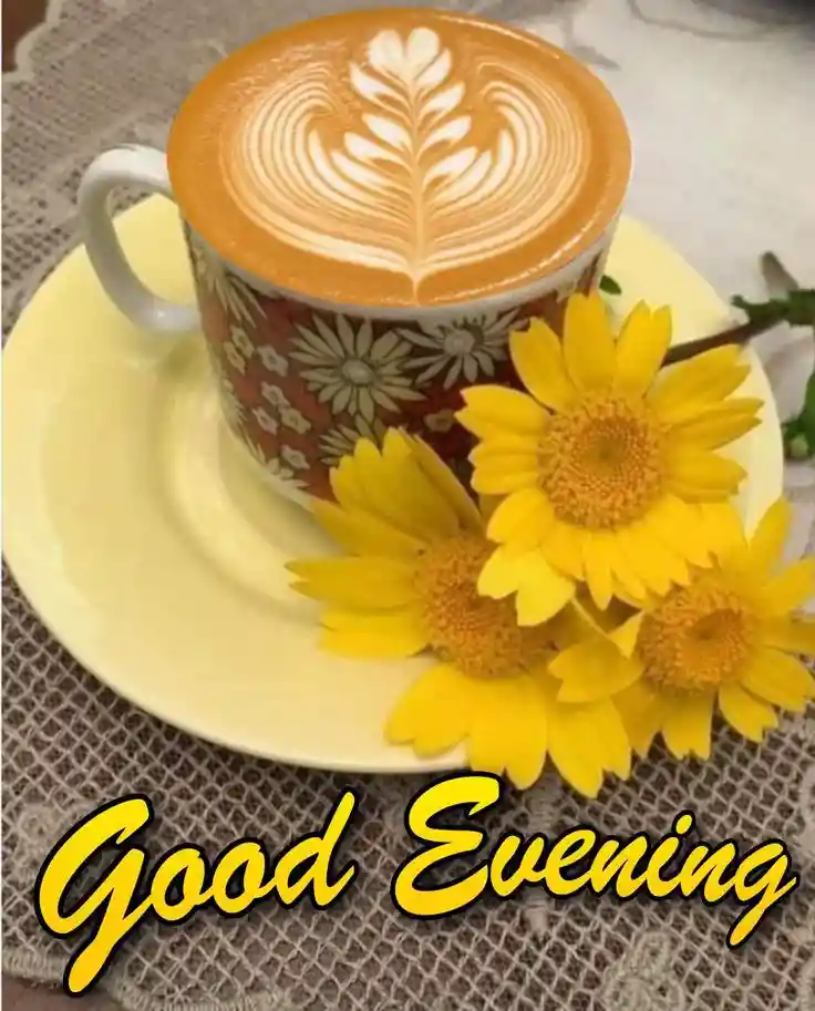 best whatsapp dp images for girl