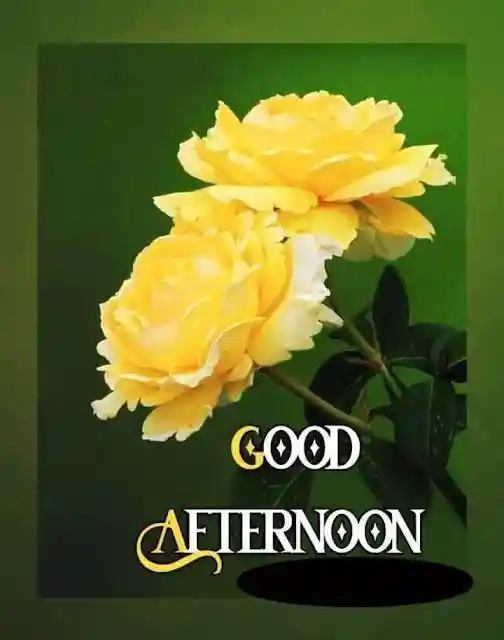 couple images for whatsapp dp