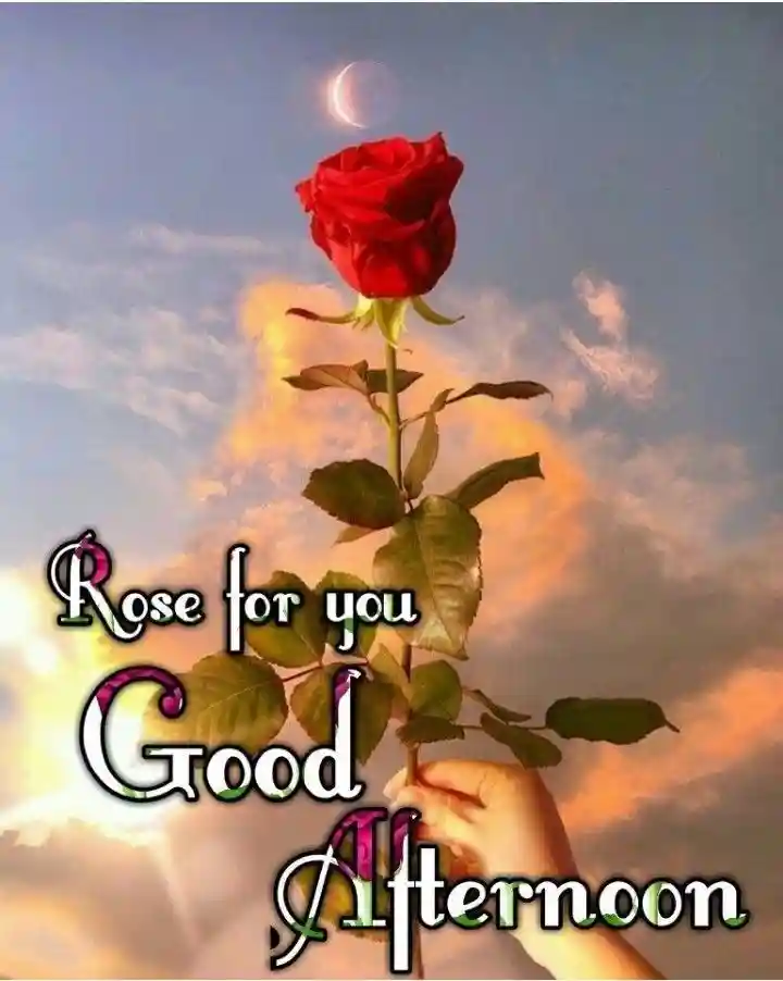 dp whatsapp romantic arjun reddy images