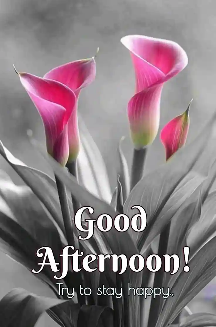 whatsapp dp images attitude boy download