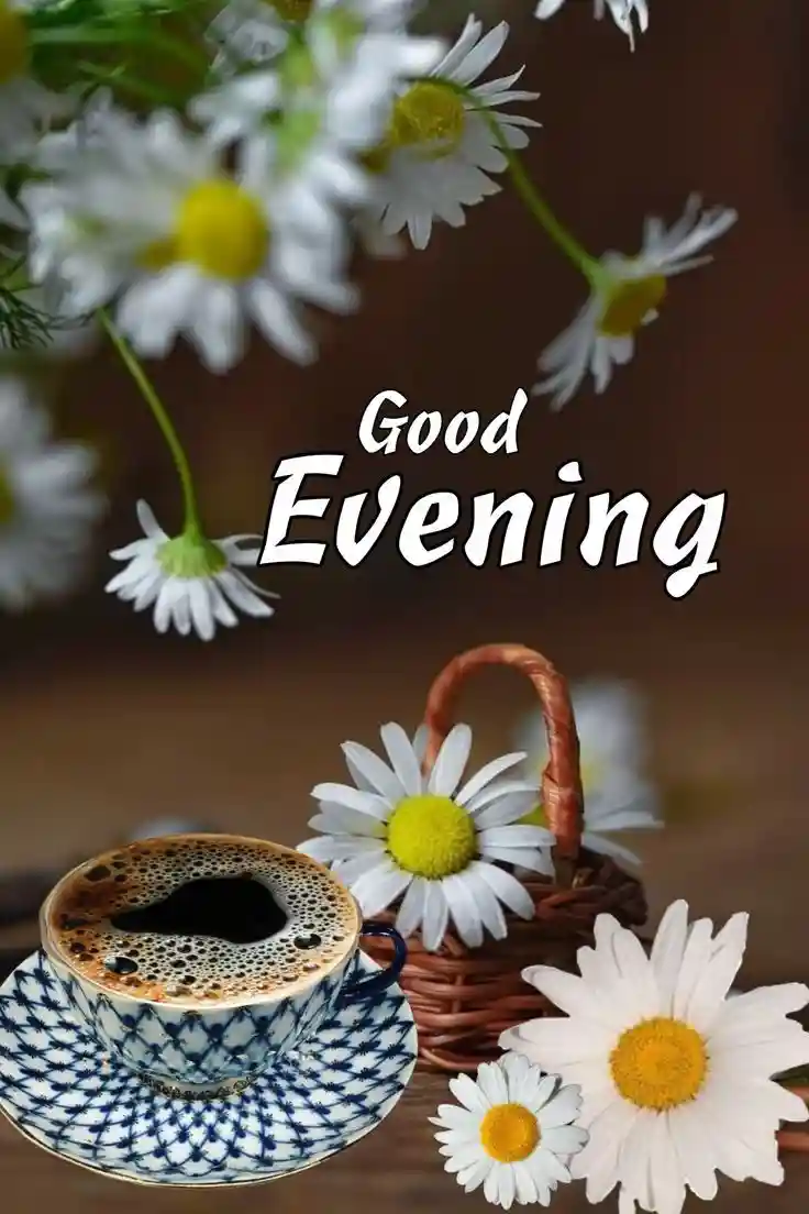 whatsapp post image size pixels