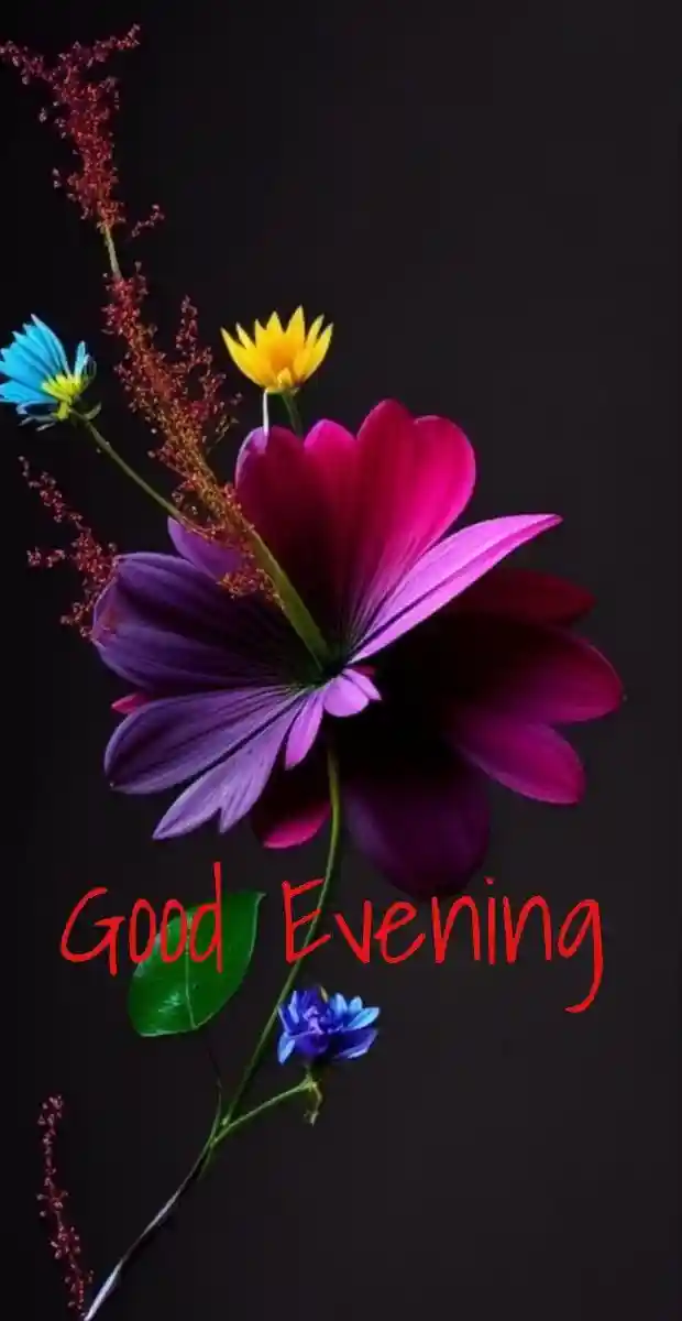 whatsapp status independence day images