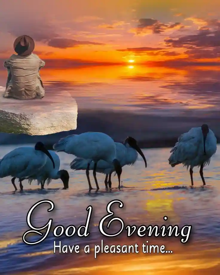 192 pixel images for whatsapp