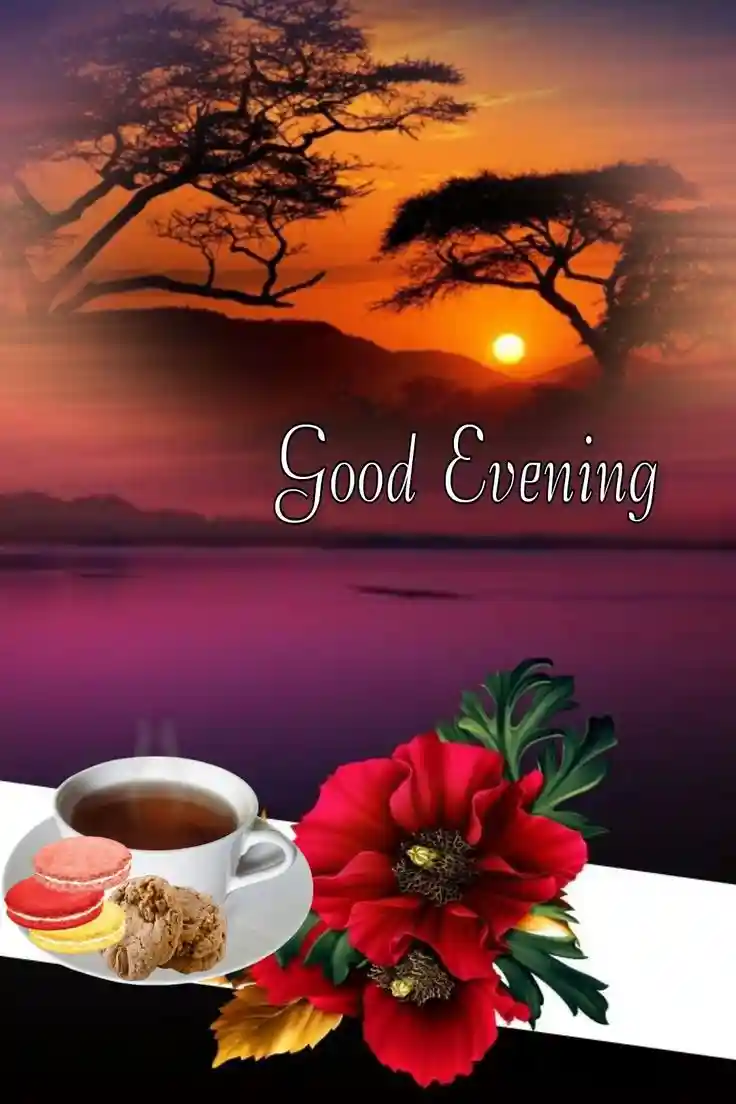 whatsapp dp images black