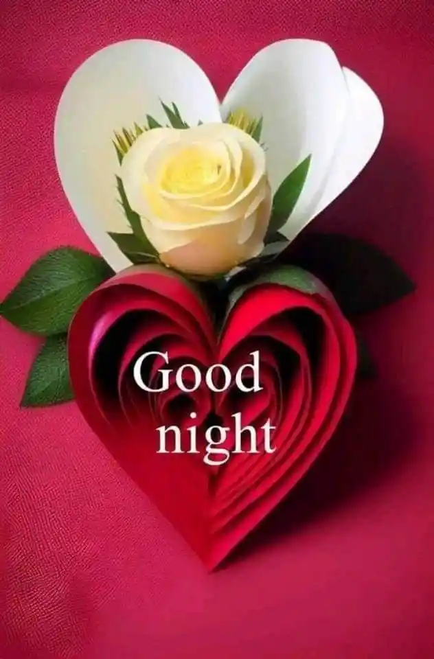 whatsapp dp good night images	