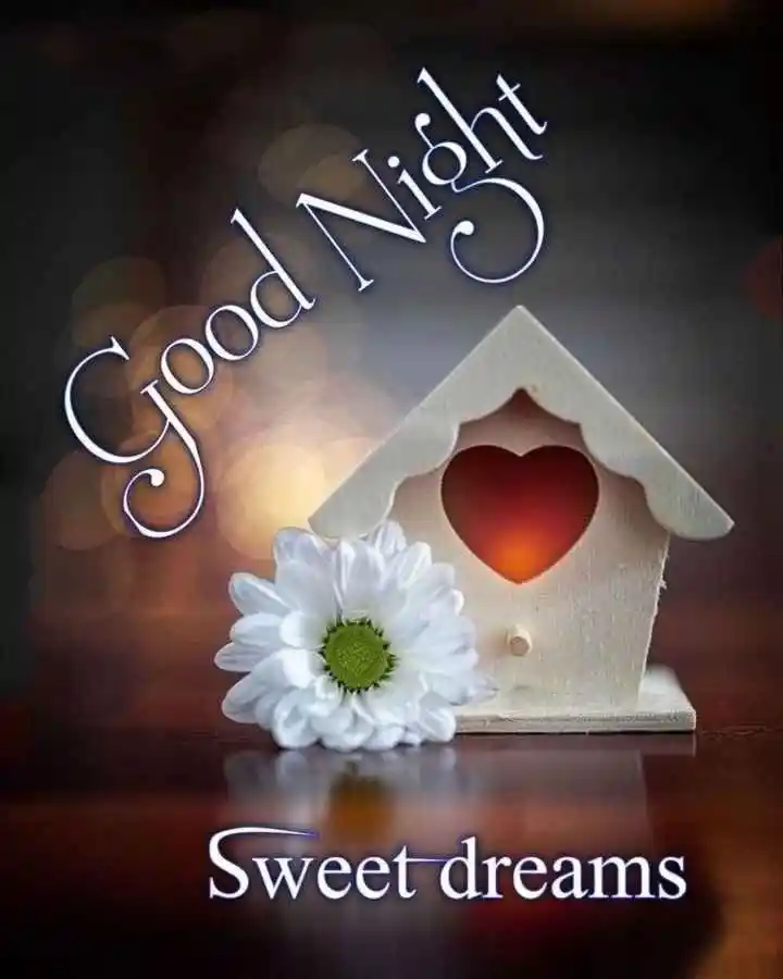 good night romantic dp	