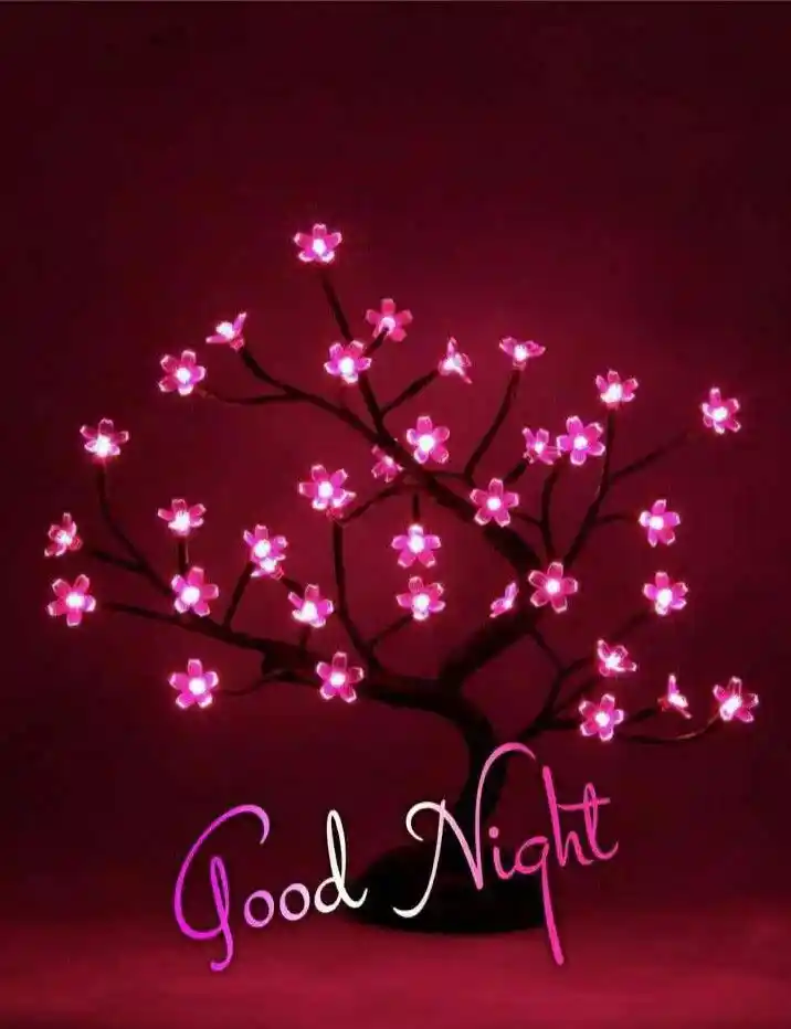 good night dp whatsapp	