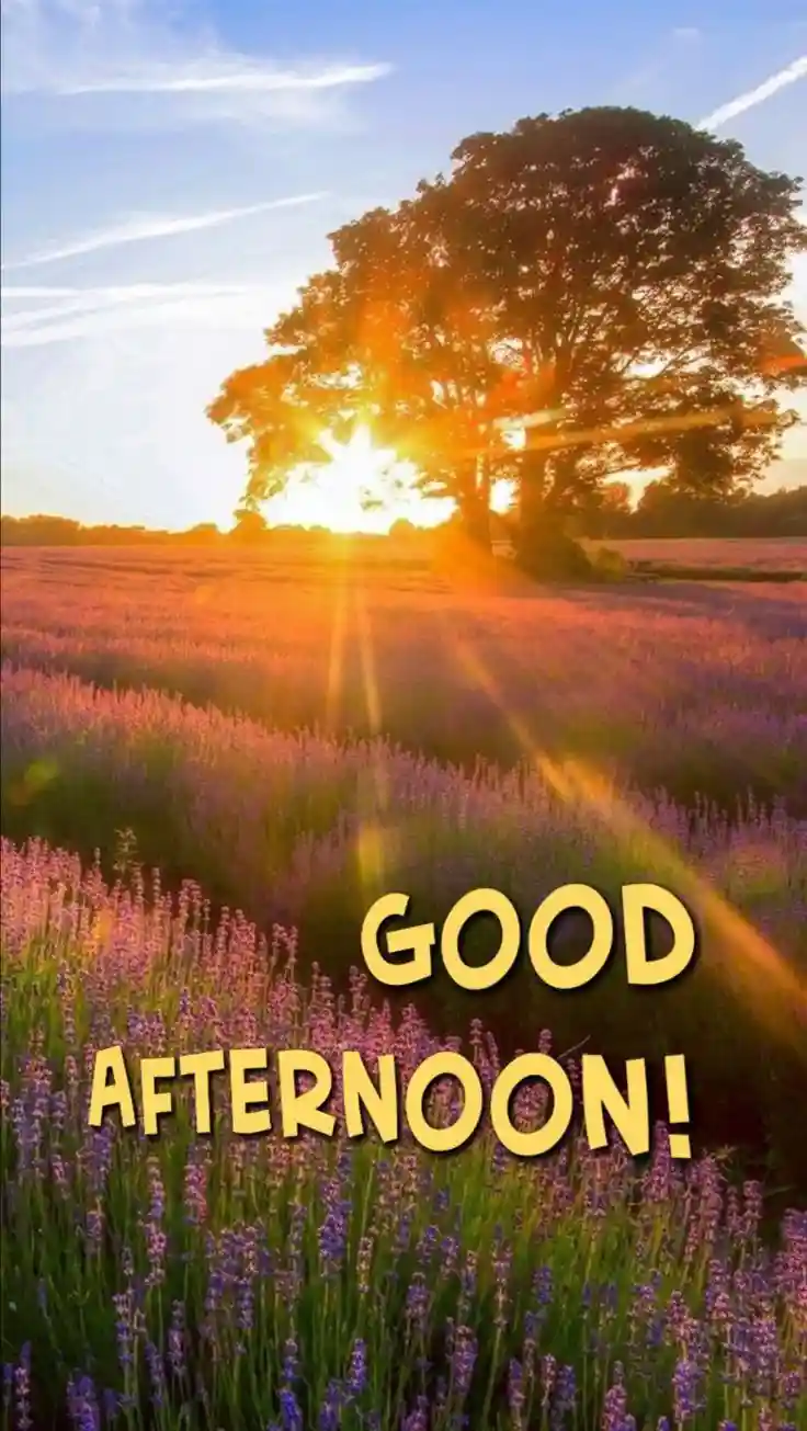 resize image to whatsapp dp