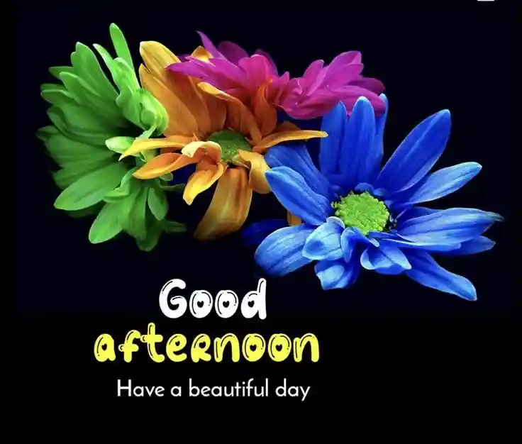 tuesday good morning images for whatsapp