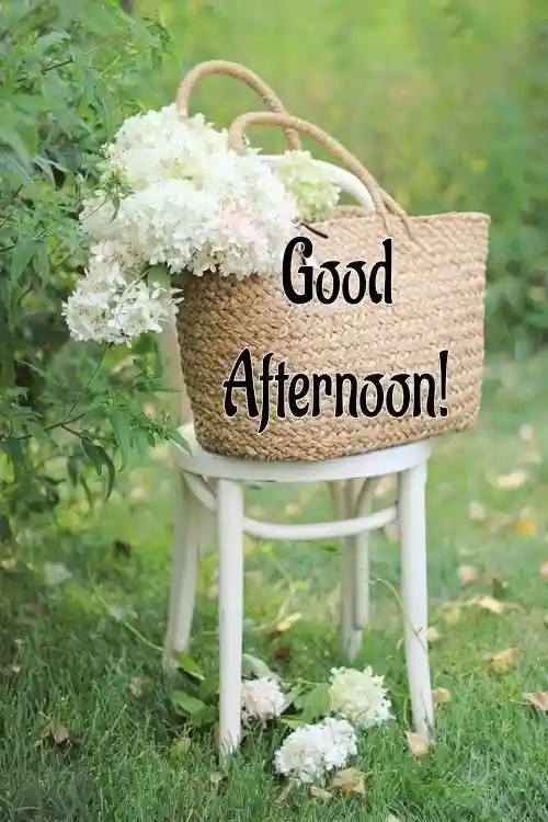 unique images for whatsapp dp