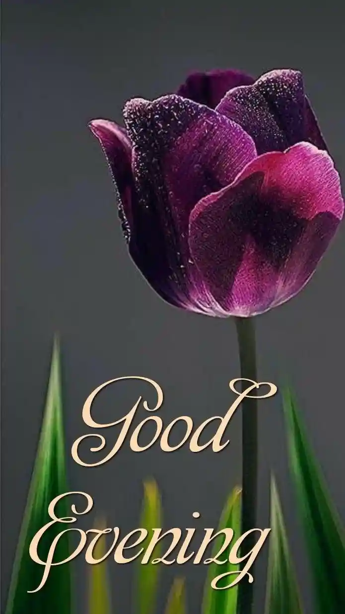 whatsapp dp images for men