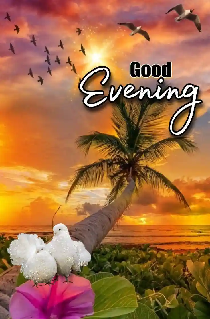 whatsapp dp images for couple