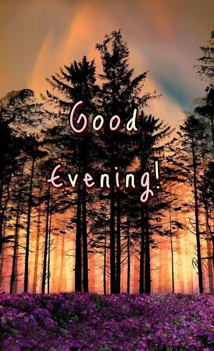 sad whatsapp status images