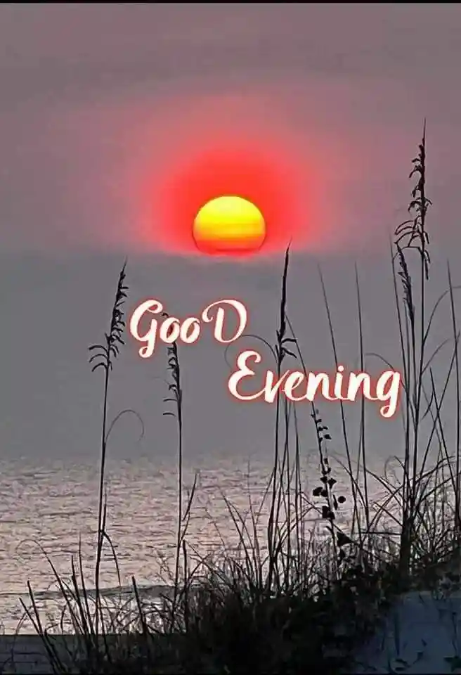 school life images for whatsapp dp