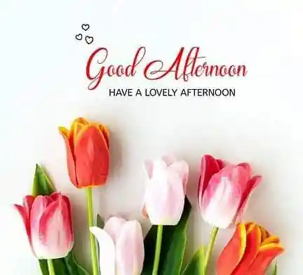 cool images for whatsapp dp