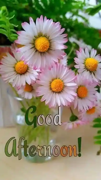 marriage anniversary cake images for whatsapp