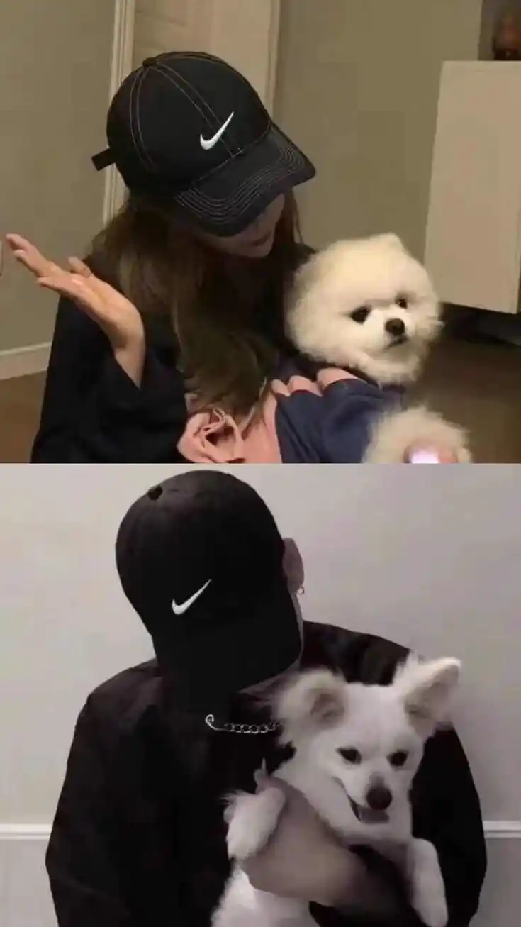 krishna cartoon images