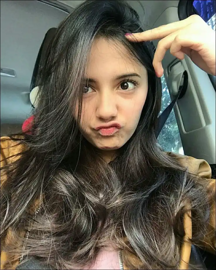 butterfly images for whatsapp dp