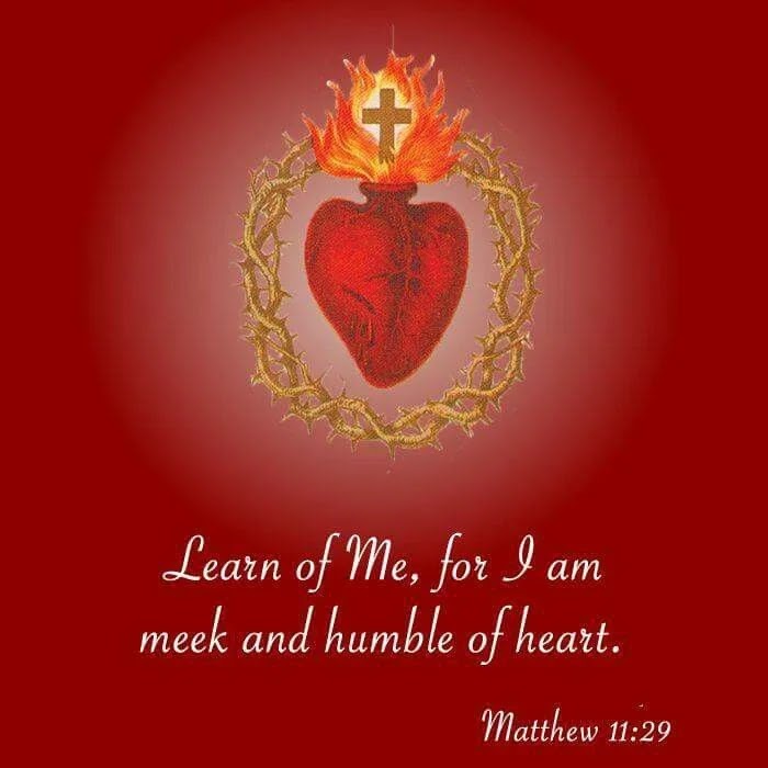 jesus cover me picture