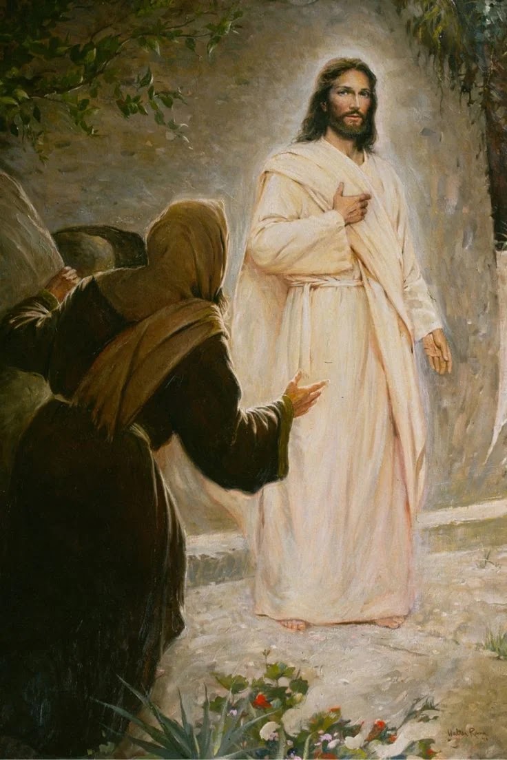 garden where jesus prayed images