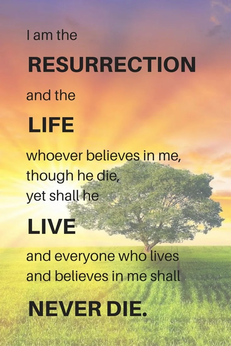jesus new life quote image