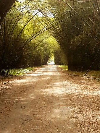 original garden of bilal photos