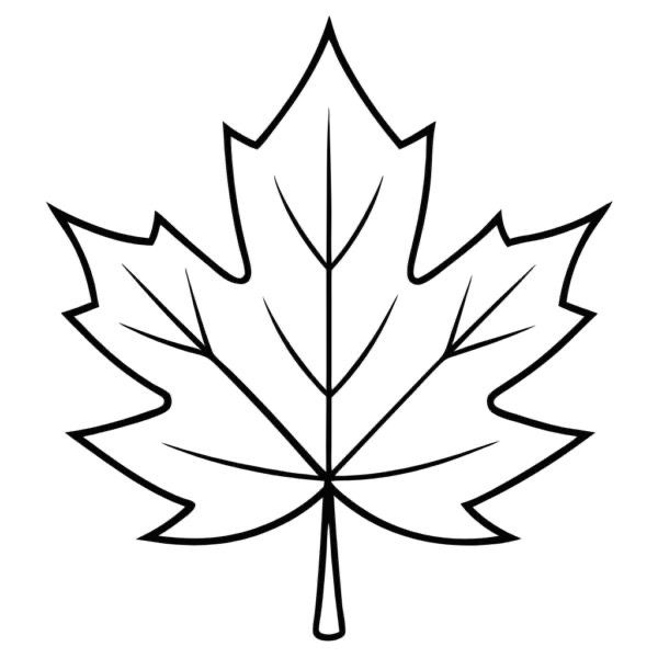 coloring picture of a maple leaf