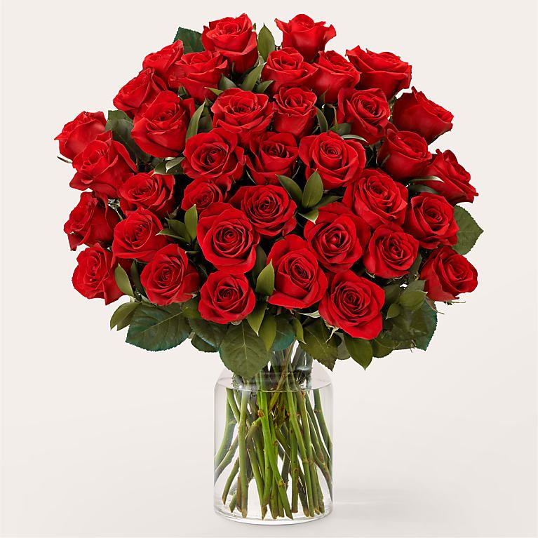 a picture of a dozen red roses