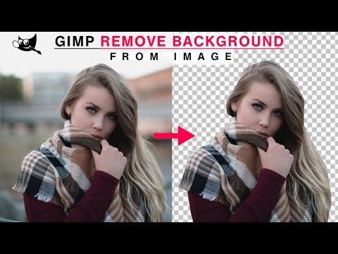 how to remove the background of a picture in gimp