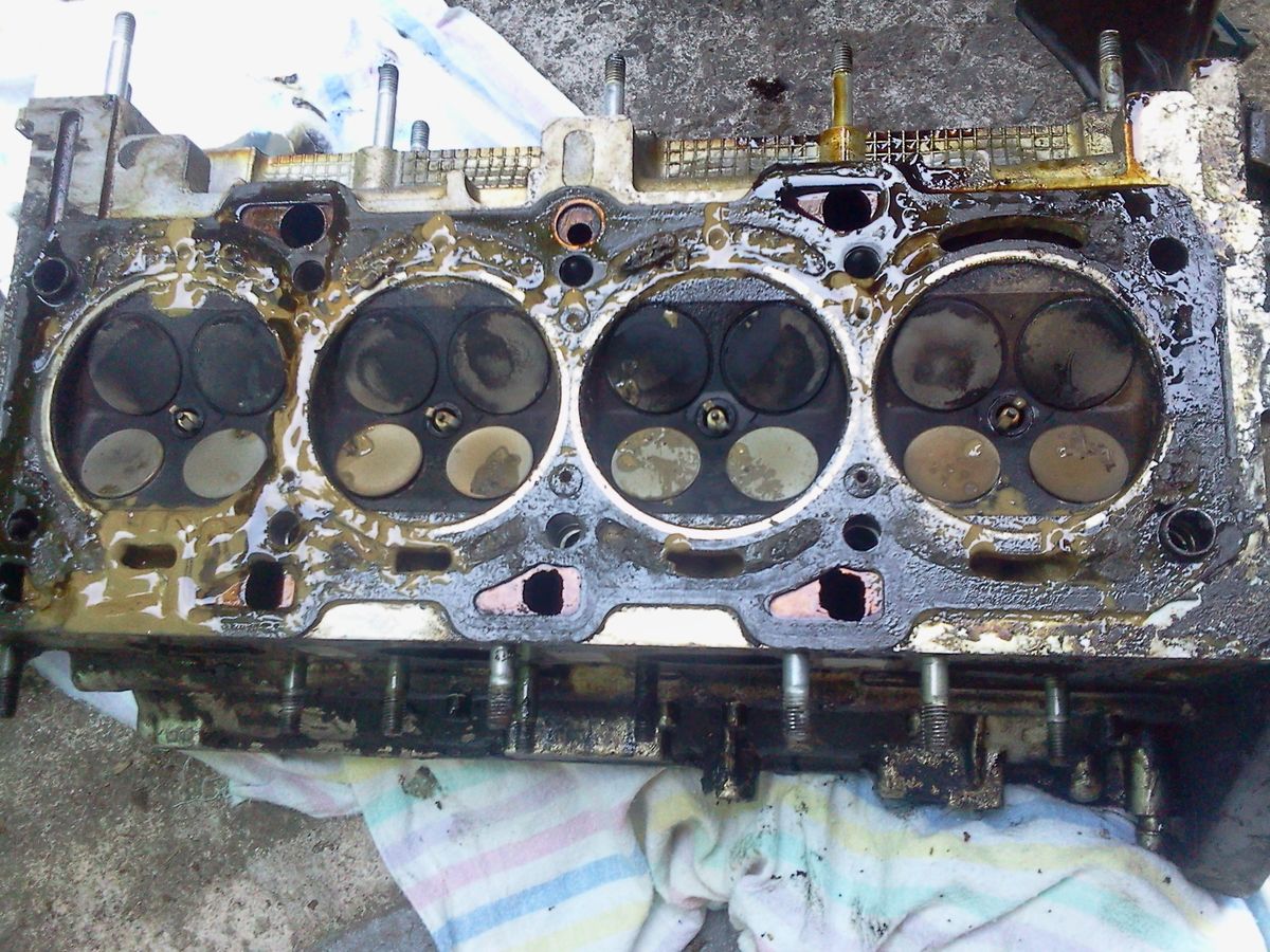 picture of a blown head gasket