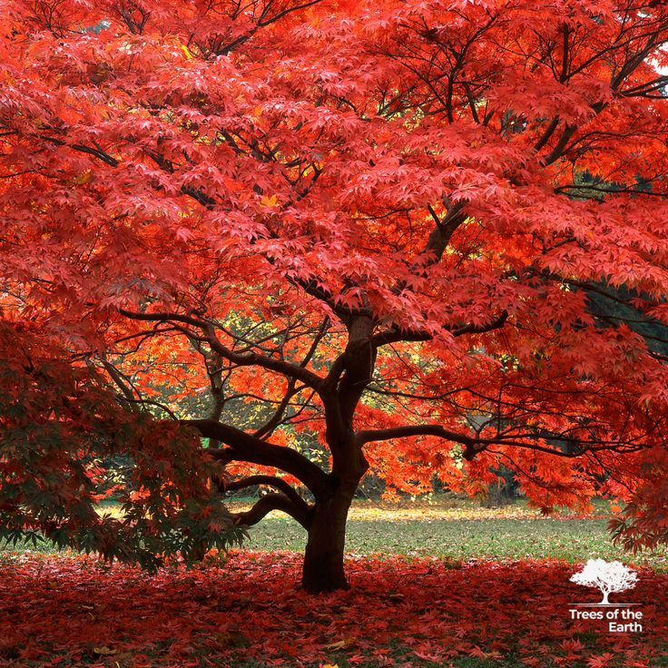 getimgpic 69551cdc70a4f9.07482928