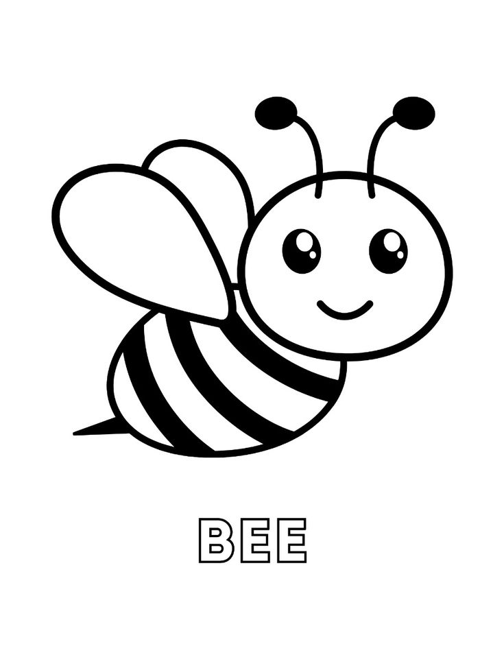 coloring picture of a bee