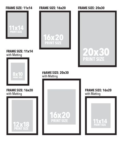 cost of framing a picture