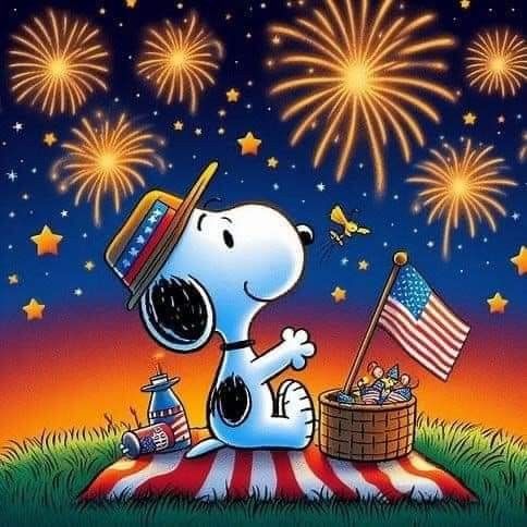 funny 4th of july picture