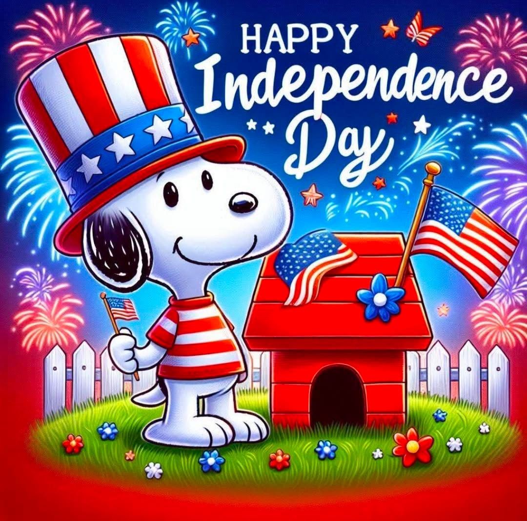 funny 4th of july pictures