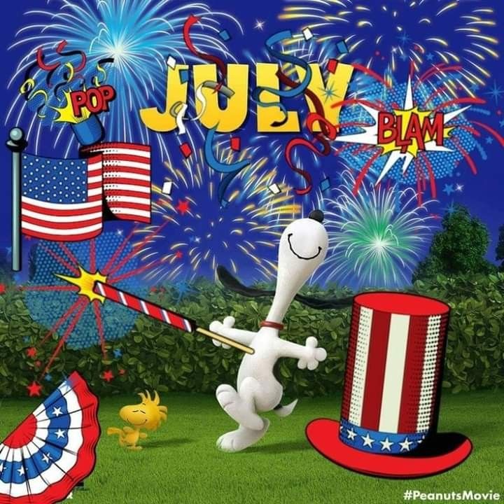 funny images of 4th of july