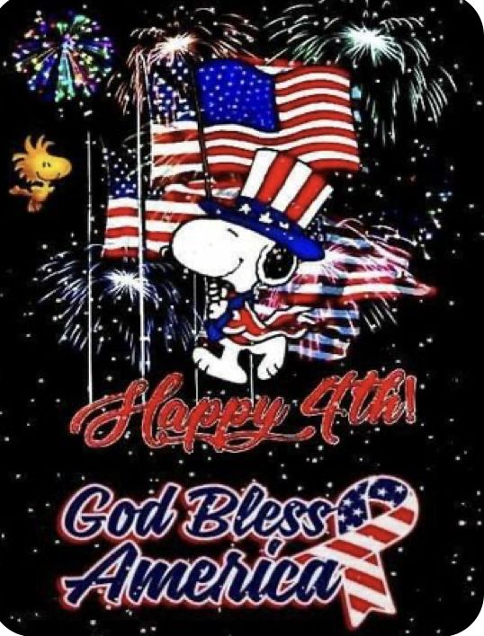 funny pictures for 4th of july