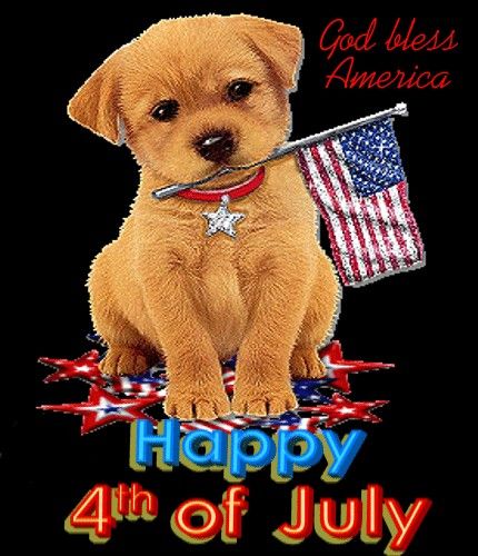 happy 4th of july dog images